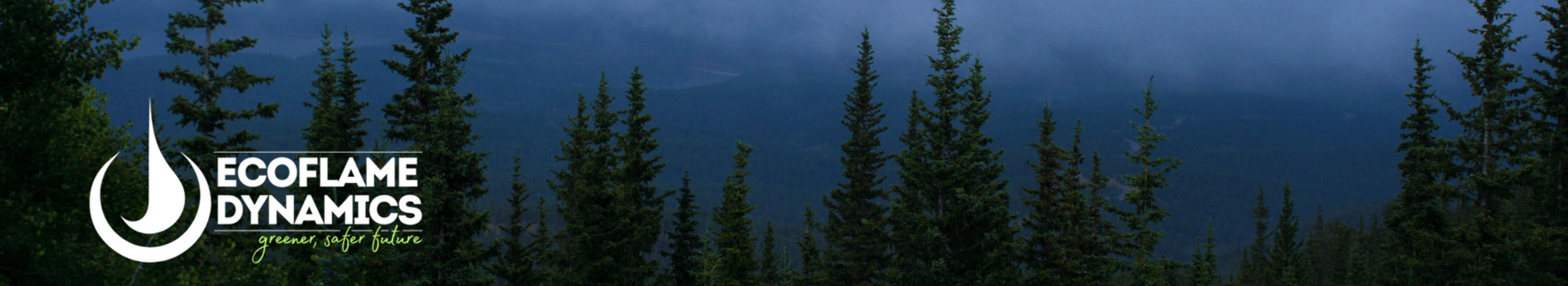 Ecoflame-About