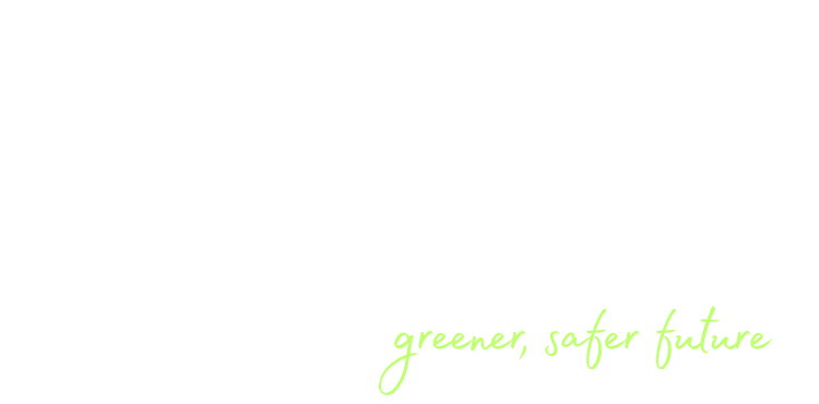Ecoflame Logo
